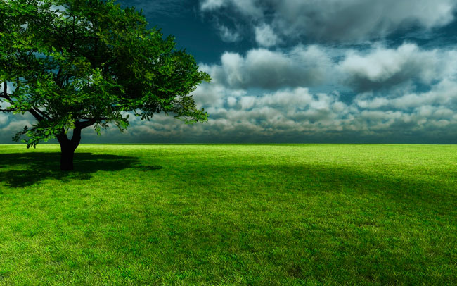 http://n.ziyouz.com/images/1693019.jpg